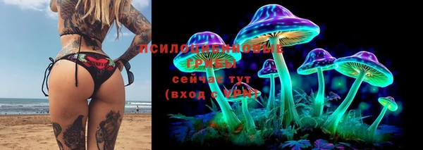 PSILOCYBIN Заводоуковск
