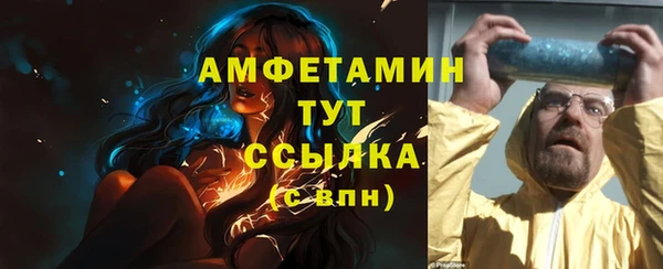 PSILOCYBIN Заводоуковск
