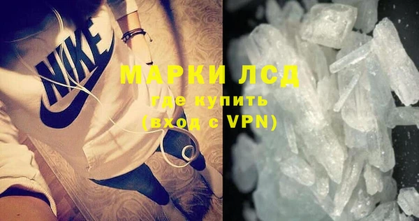 PSILOCYBIN Заводоуковск