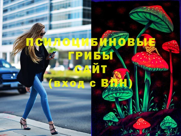 стафф Заволжск