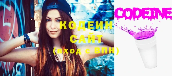 PSILOCYBIN Заводоуковск