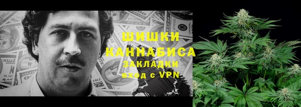 PSILOCYBIN Заводоуковск