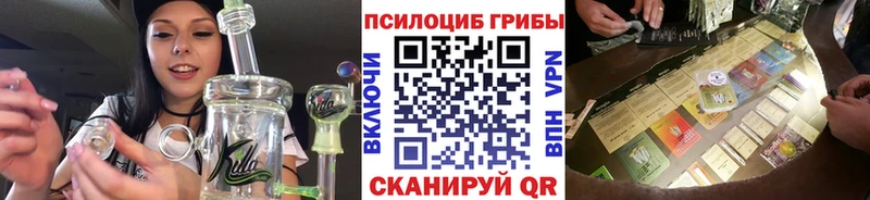 Купить где Нерчинск Галлюциногенные грибы Psilocybine cubensis