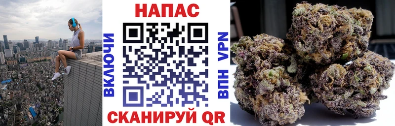 Купить закладки  Нерчинск  Марихуана сатива 